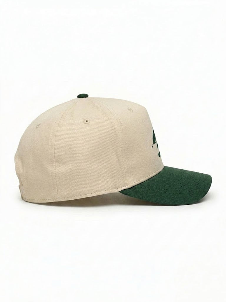 Wingman Snapback Logo Hat (Green / Cream)